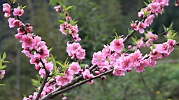 IMG_6872.JPG