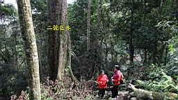 IMG_6886.JPG