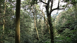 IMG_6888.JPG
