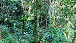 IMG_6889.JPG