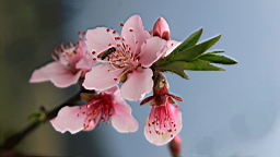 IMG_6898.JPG