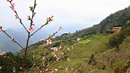 IMG_6900.JPG