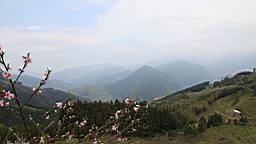 IMG_6901.JPG