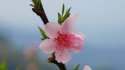 IMG_6905.JPG
