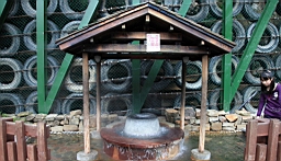 IMG_6906.JPG