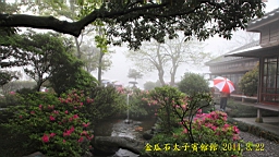 IMG_7076.JPG