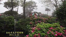 IMG_7077.JPG