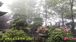 IMG_7078.JPG