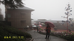 IMG_7084.JPG