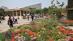 IMG_7113.JPG