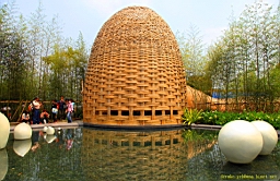 IMG_7142.JPG