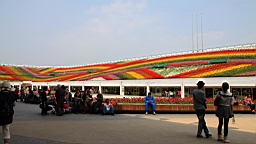 IMG_7182.JPG