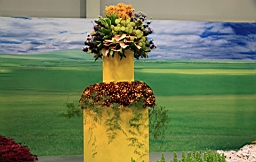 IMG_7192.JPG