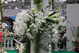 IMG_7208.JPG