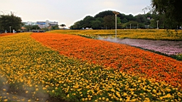 IMG_7248.JPG