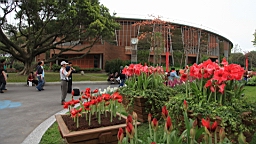 IMG_7249.JPG