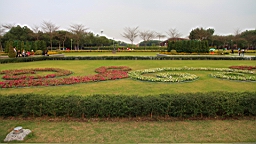 IMG_7253.JPG