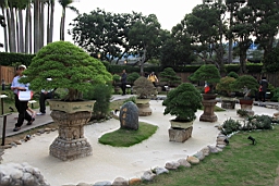 IMG_7260.JPG