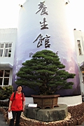 IMG_7268.JPG