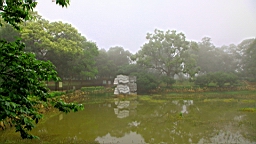 IMG_7337.JPG