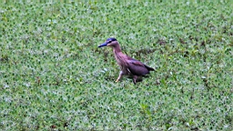 IMG_7339.JPG