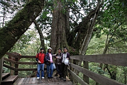 IMG_7369.JPG