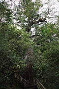 IMG_7372.JPG