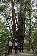 IMG_7385.JPG