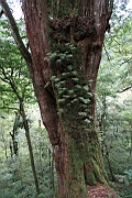 IMG_7386.JPG