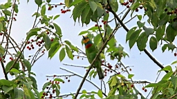 IMG_7393.JPG