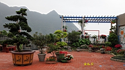 IMG_7481.JPG