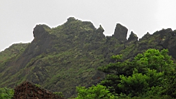 IMG_7489.JPG