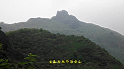 IMG_7490.JPG