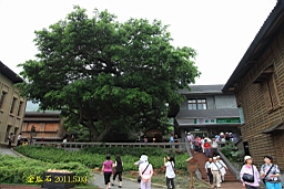 IMG_7505.JPG