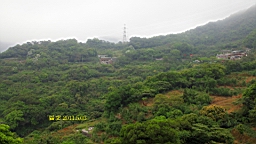 IMG_7524.JPG
