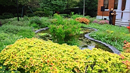 IMG_3162.JPG