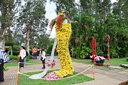 IMG_3517.JPG