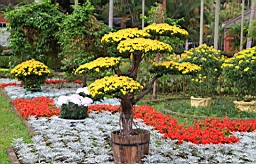 IMG_3523.JPG