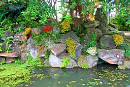 IMG_3537.JPG