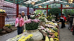 IMG_3543.JPG