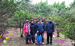 IMG_3571.JPG