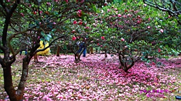 IMG_3575.JPG