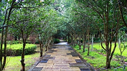 IMG_3579.JPG