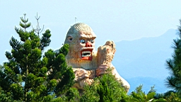 DSCN1181.jpg