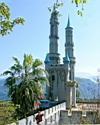 DSCN1196.jpg