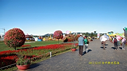 IMG_3591.JPG