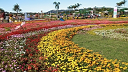 IMG_3595.JPG