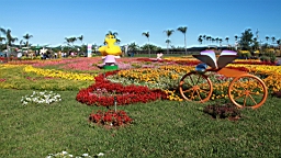 IMG_3597.JPG