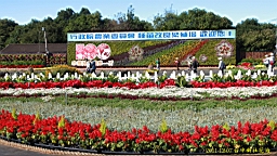 IMG_3623.JPG