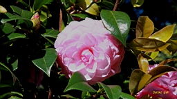 IMG_3629.JPG